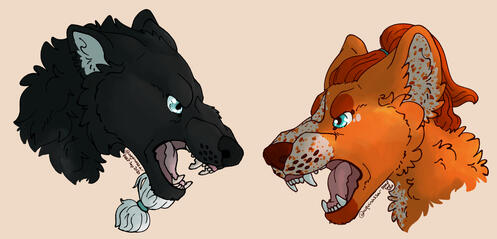 Snarly Kaleb & Maakor